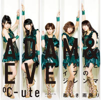 Kanashiki Amefuri / Adam to Eve no Dilemma Limited Edition B EPCE-5960