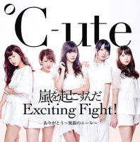 Arigatou ~Mugen no Yell~ / Arashi wo Okosunda Exciting Fight! Limited Edition B EPCE-7149